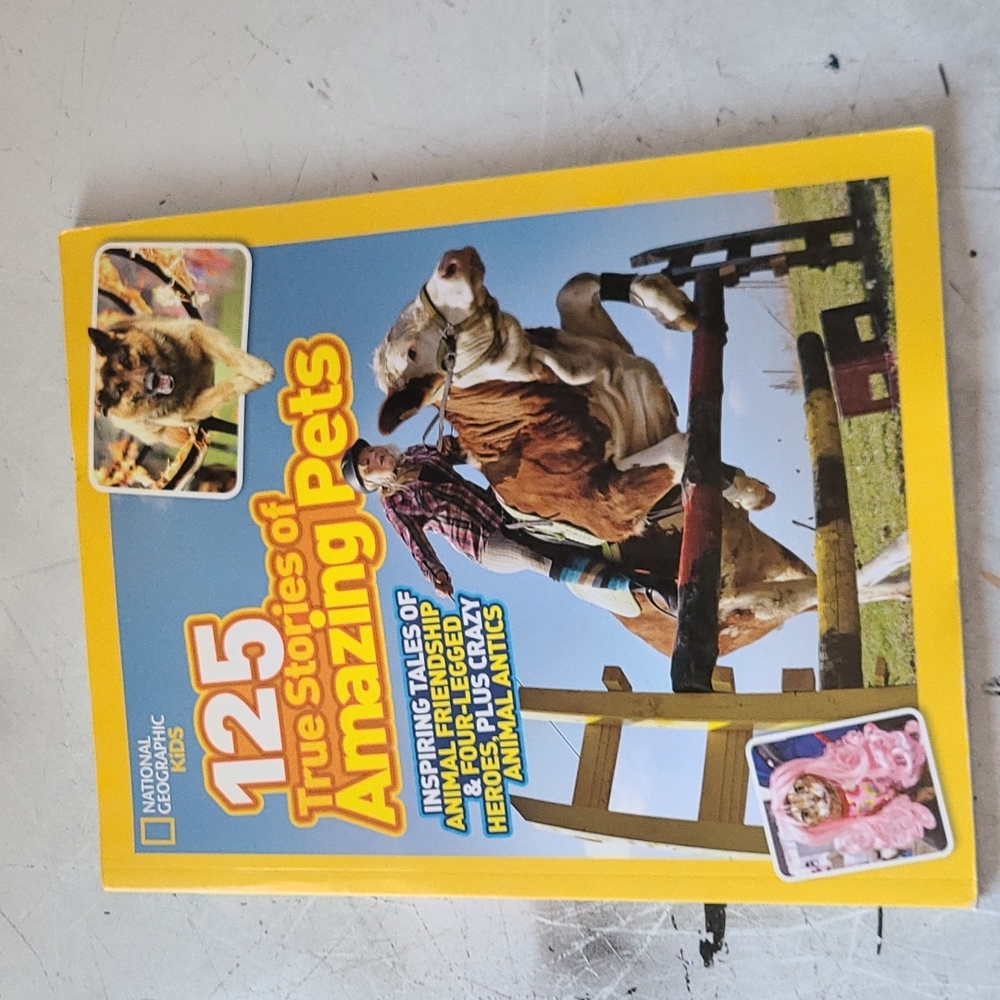 Amazing pets magazine